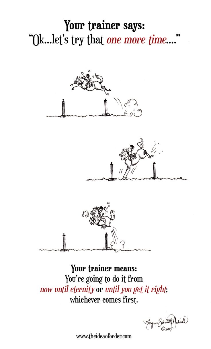 an advertisement for a training program with cartoon characters on the front and back side of it