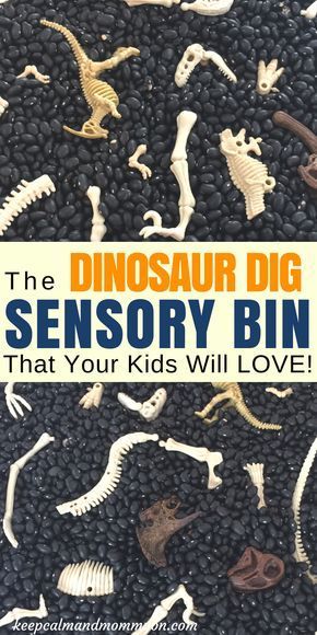 the dinosaur dig is an interesting activity for kids