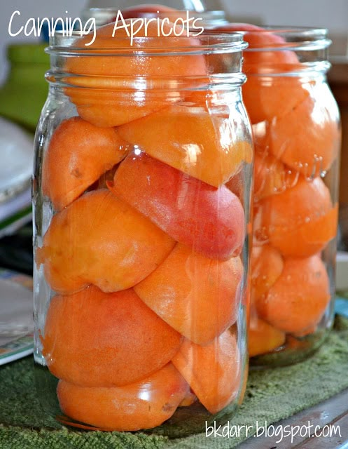 jars filled with oranges sitting on top of a table