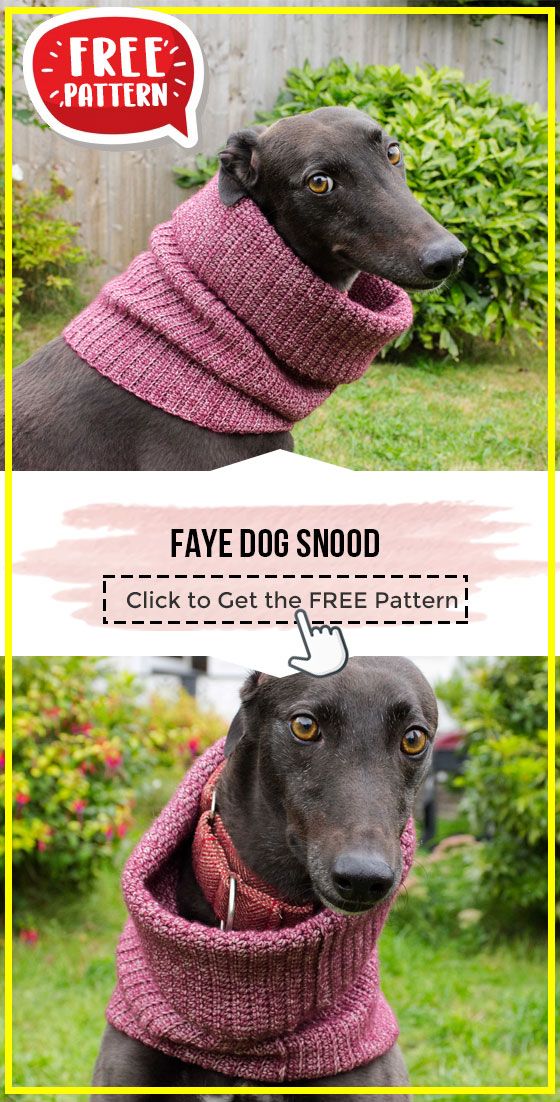 a dog wearing a knitted scarf with the words fave dog snood on it