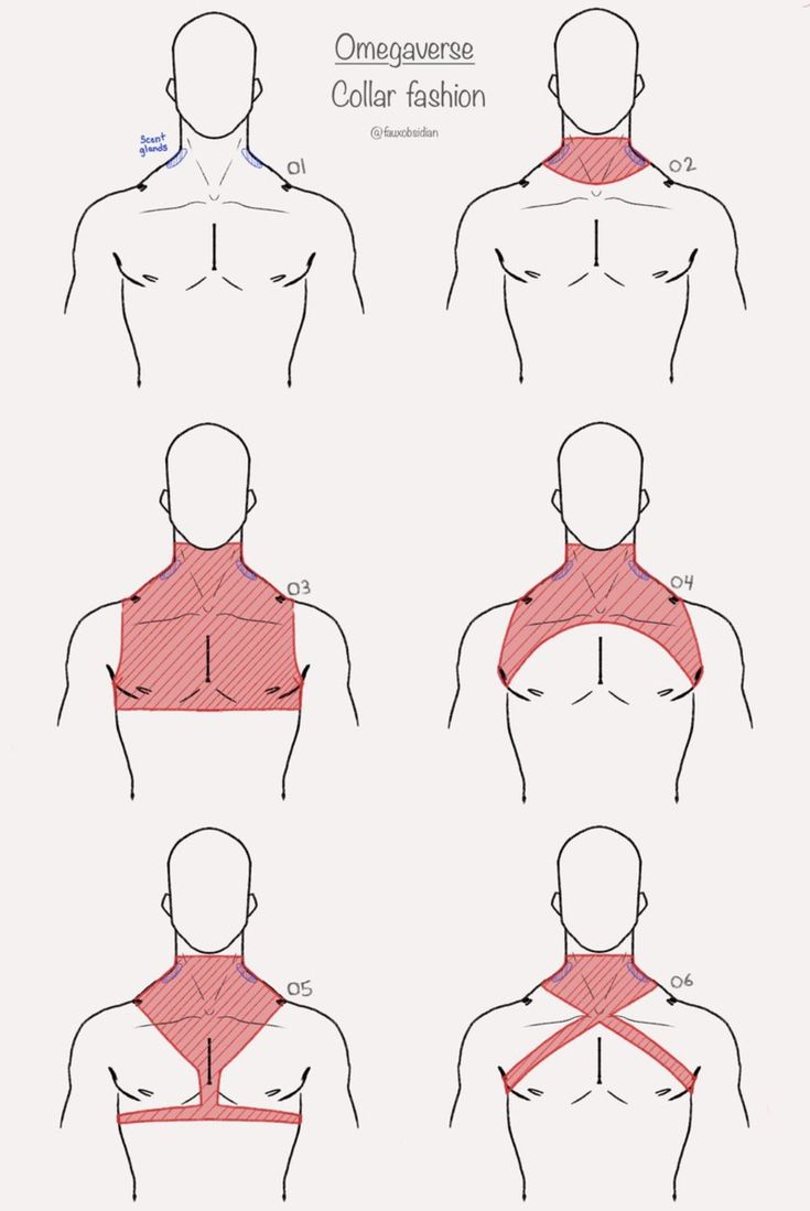 how to draw the neck and chest