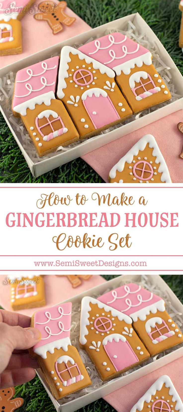 how to make a gingerbread house cookie set in a box with text overlay