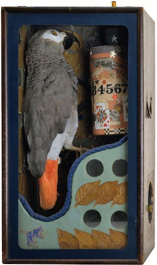 a bird sitting on top of a wooden box filled with bottles and condiments