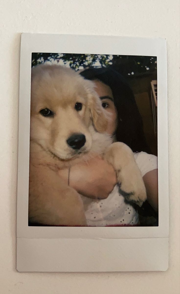 a polaroid photo of a woman holding a dog in her arms and looking at the camera