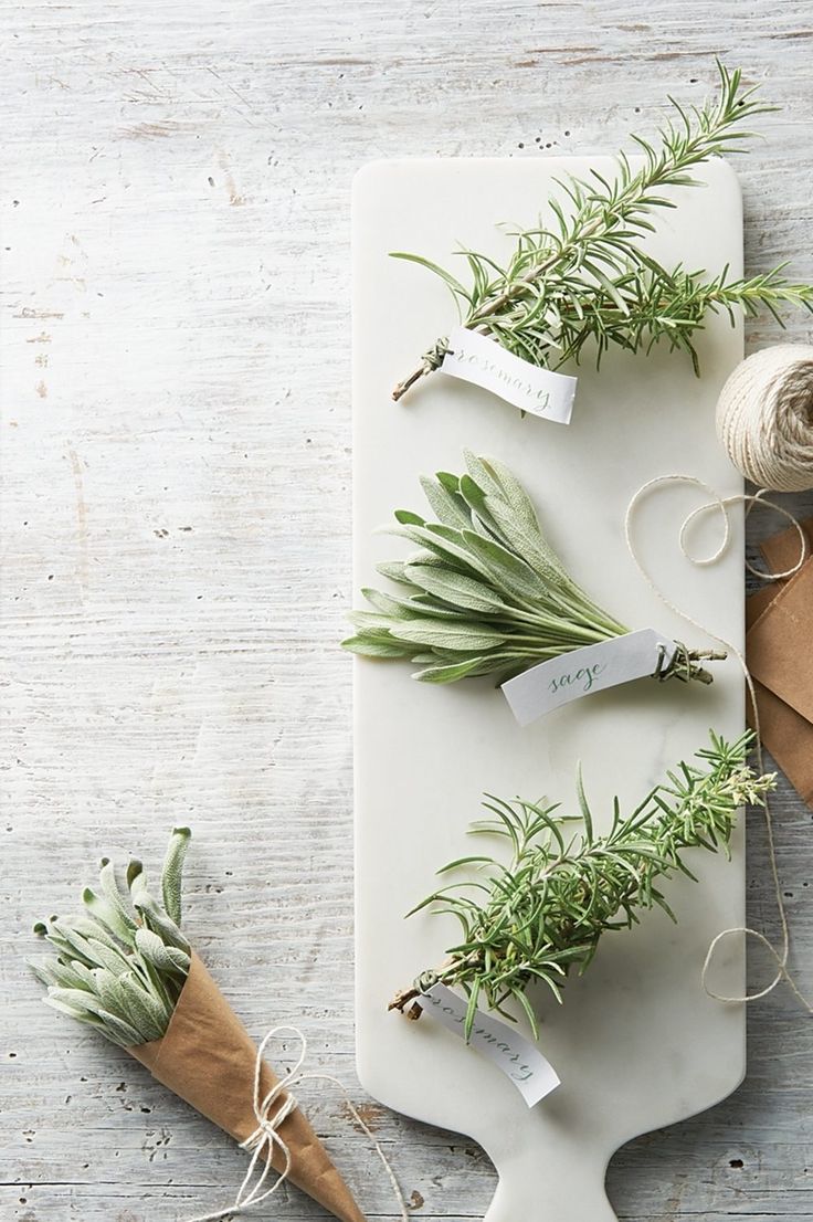 herbs and twine on a cutting board next to a pair of scissors with tags