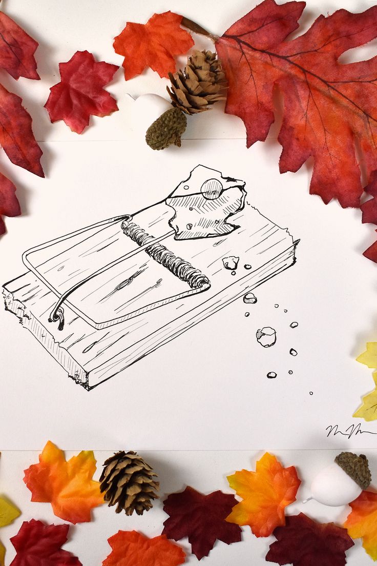 a drawing of a book and some autumn leaves