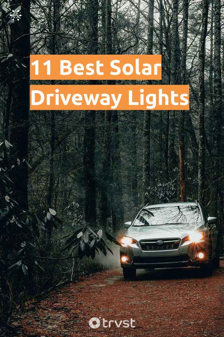 11 Best Solar Driveway Lights Solar Driveway Lighting, Driveway Entrance Lights, Driveway Lighting Ideas, Light Driveway, Entrance Landscaping, Solar Driveway Lights, Driveway Lights, Driveway Fence, Driveway Entrance Landscaping