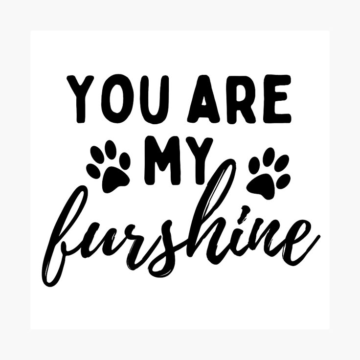 the words you are my furshine on a white background with black paw prints