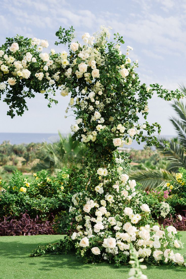 a white rose covered arch in the middle of a garden