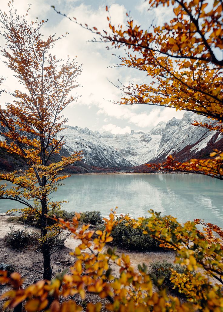 a lake surrounded by trees with snow on the mountains in the backgrounnd