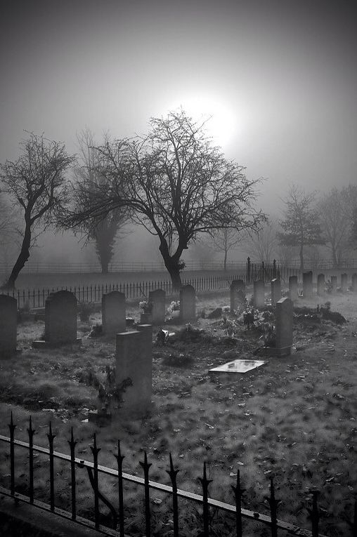 black and white photograph of cemetery in fog