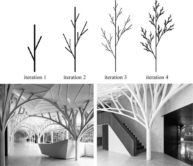 four different types of trees are shown in the same image, each with their own individual branches