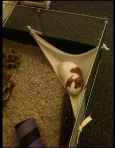 a cat sleeping in a hammock on the floor