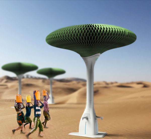 three people are standing in the desert with umbrellas on their heads