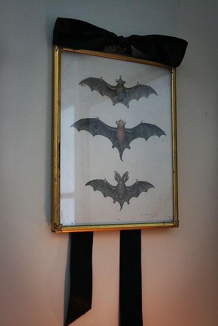 three bats are hanging on the wall in front of a framed photo with a black ribbon