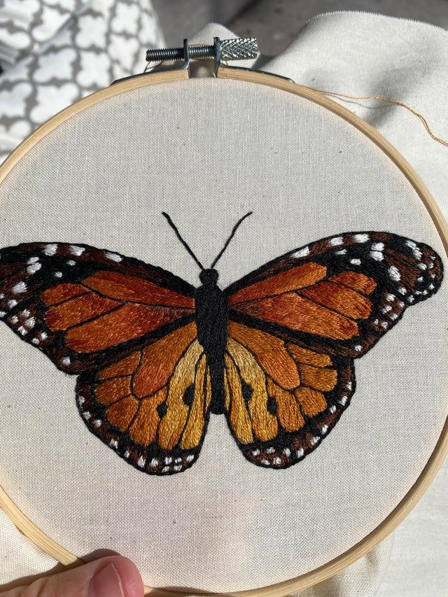 a close up of a butterfly on a white surface with a person holding it in their hand