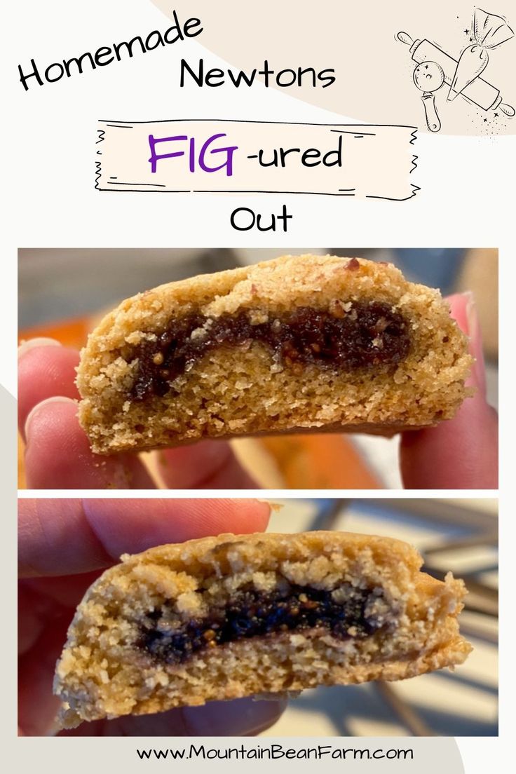 homemade newtons fig - dried out cookies are the perfect treat for kids to eat