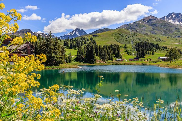 a lake surrounded by mountains and wildflowers