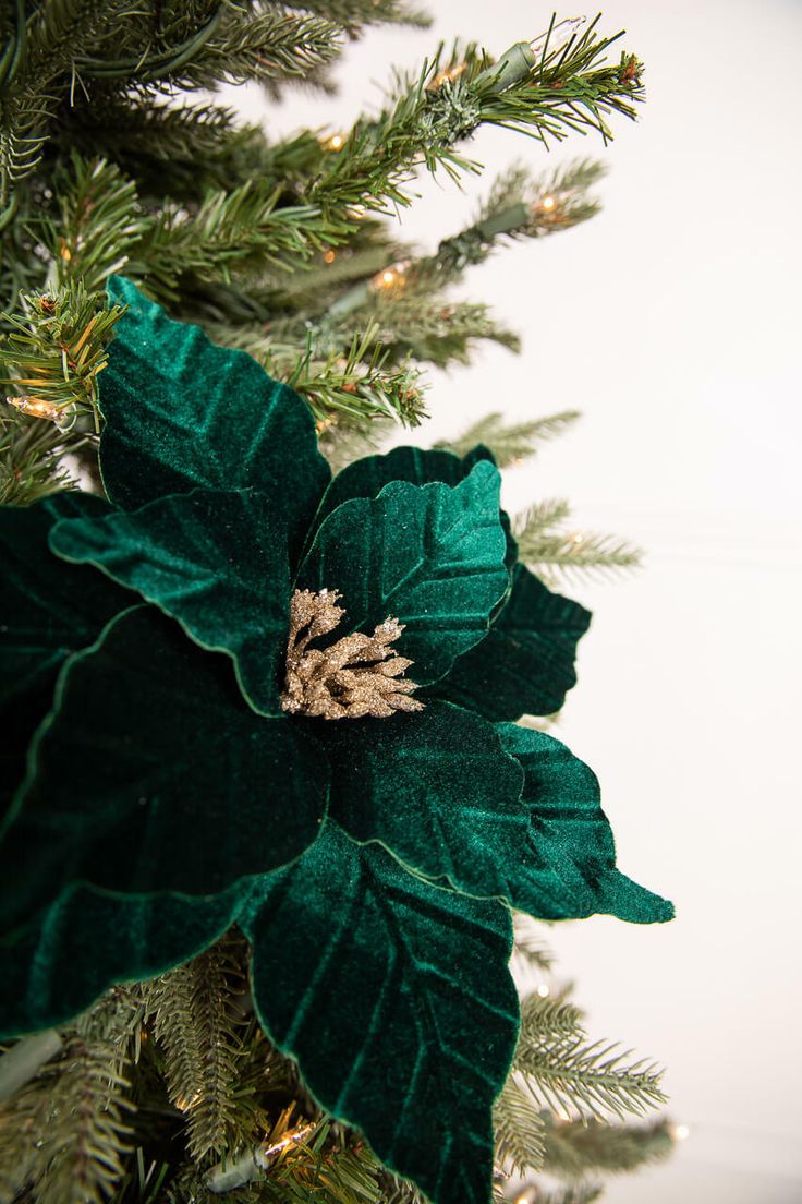 a close up of a christmas tree with green leaves