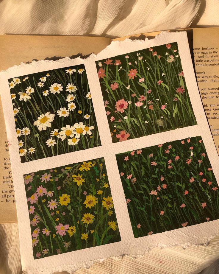 an open book with four pictures of wildflowers and daisies on it's pages