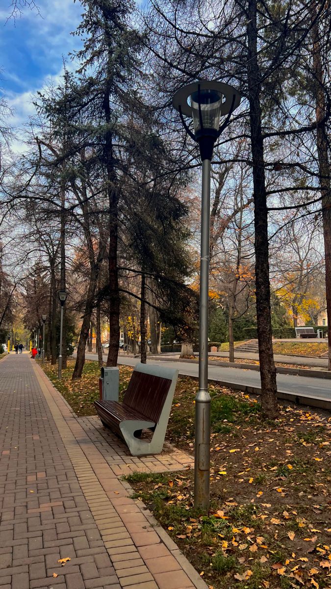 a park bench sitting on the side of a road next to a tree filled street