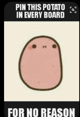 an image of a cartoon character with the caption pin this potato in every board for no reason