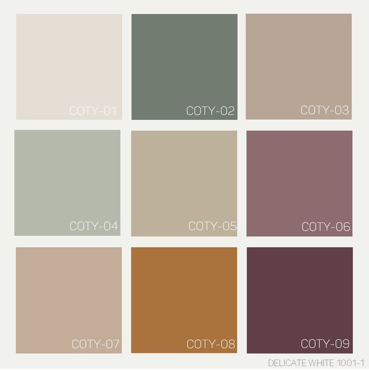 the color palette for coty - 01 is shown in shades of brown, beige and green