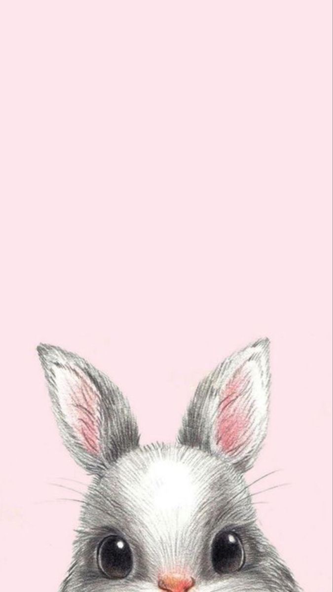 a drawing of a bunny with big eyes and ears, looking at the camera while standing in front of a pink background