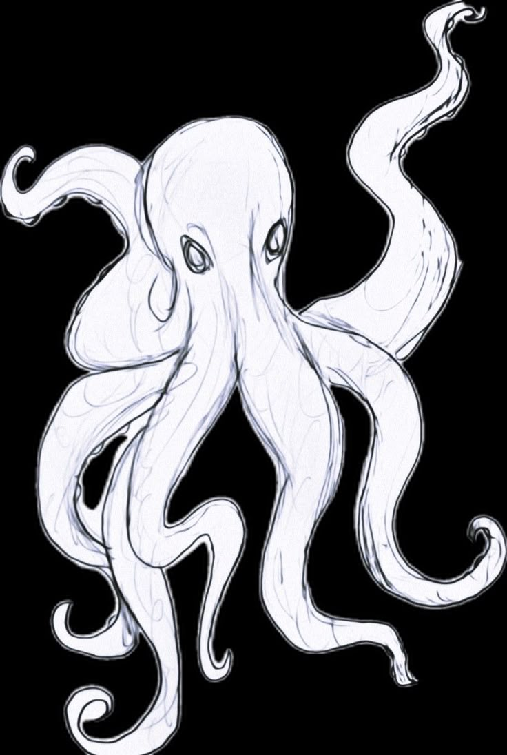 an octopus is drawn in pencil and it's head is slightly tilted to the side