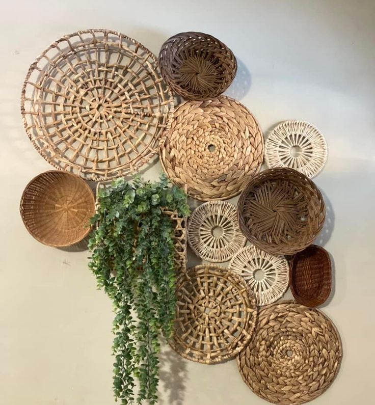 wicker baskets are arranged on the wall above a potted plant in front of it