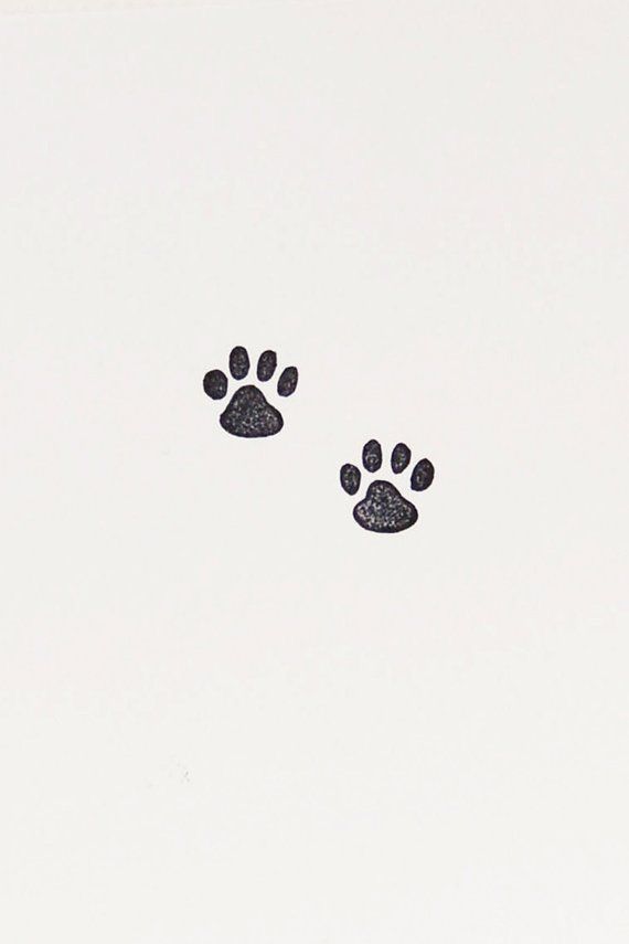 two black and white paw prints on a white background