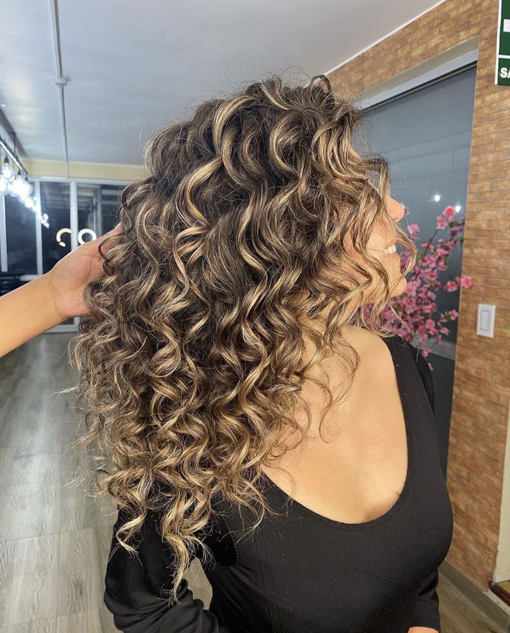 Brown Curly Hair With Balayage, Highlights Light Brown Hair Curly, Curly Hair Color Ideas Blonde, Blonde On Curly Hair, Dark Curly Hair Blonde Highlights, Natural Curls Balayage, Light Brown Hair With Money Piece Curly Hair, Peek A Boo Highlights Curly Hair, Natural Curly Hair Dye Ideas