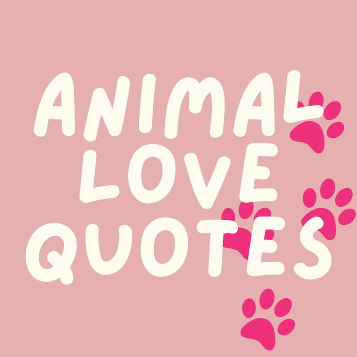 the words animal love quotes written in white on a pink background with paws and hearts