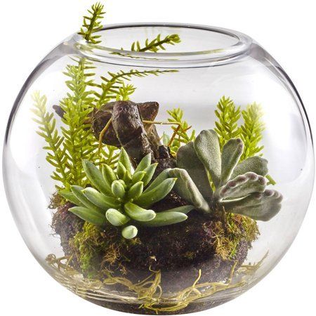 a glass bowl filled with plants and rocks