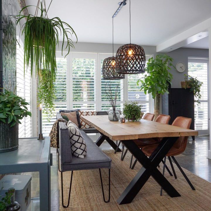 a dining room table with chairs and plants in the corner, along with two hanging lights