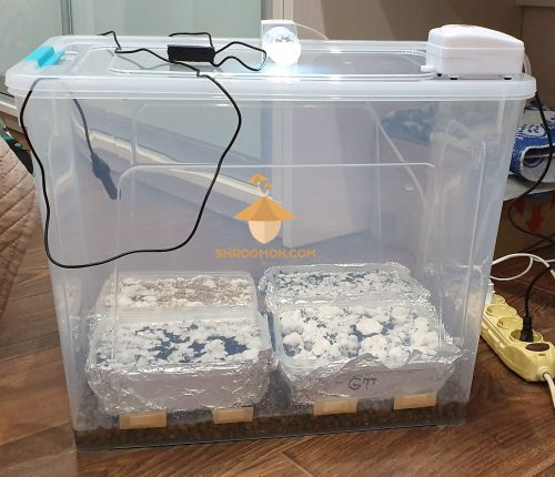 two plastic containers sitting on top of a wooden floor next to an electrical cord and plugged in