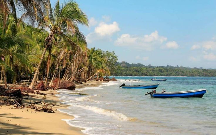 two boats on the beach with palm trees in the background