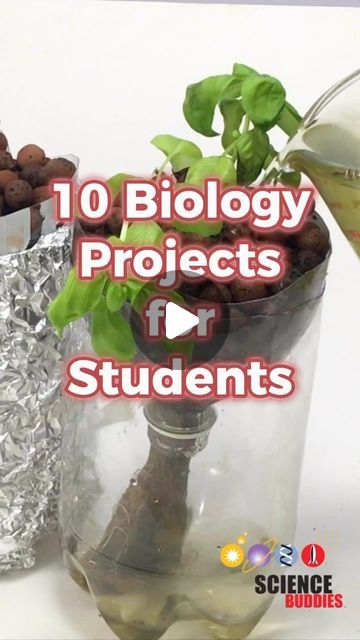 a plant in a glass vase with the words 10 biology projects for students