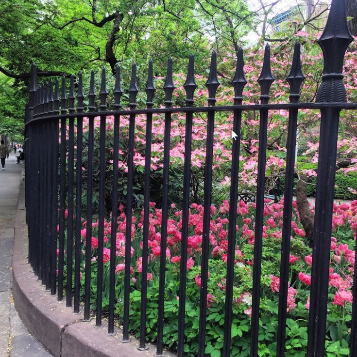 a black iron fence with pink flowers in the background