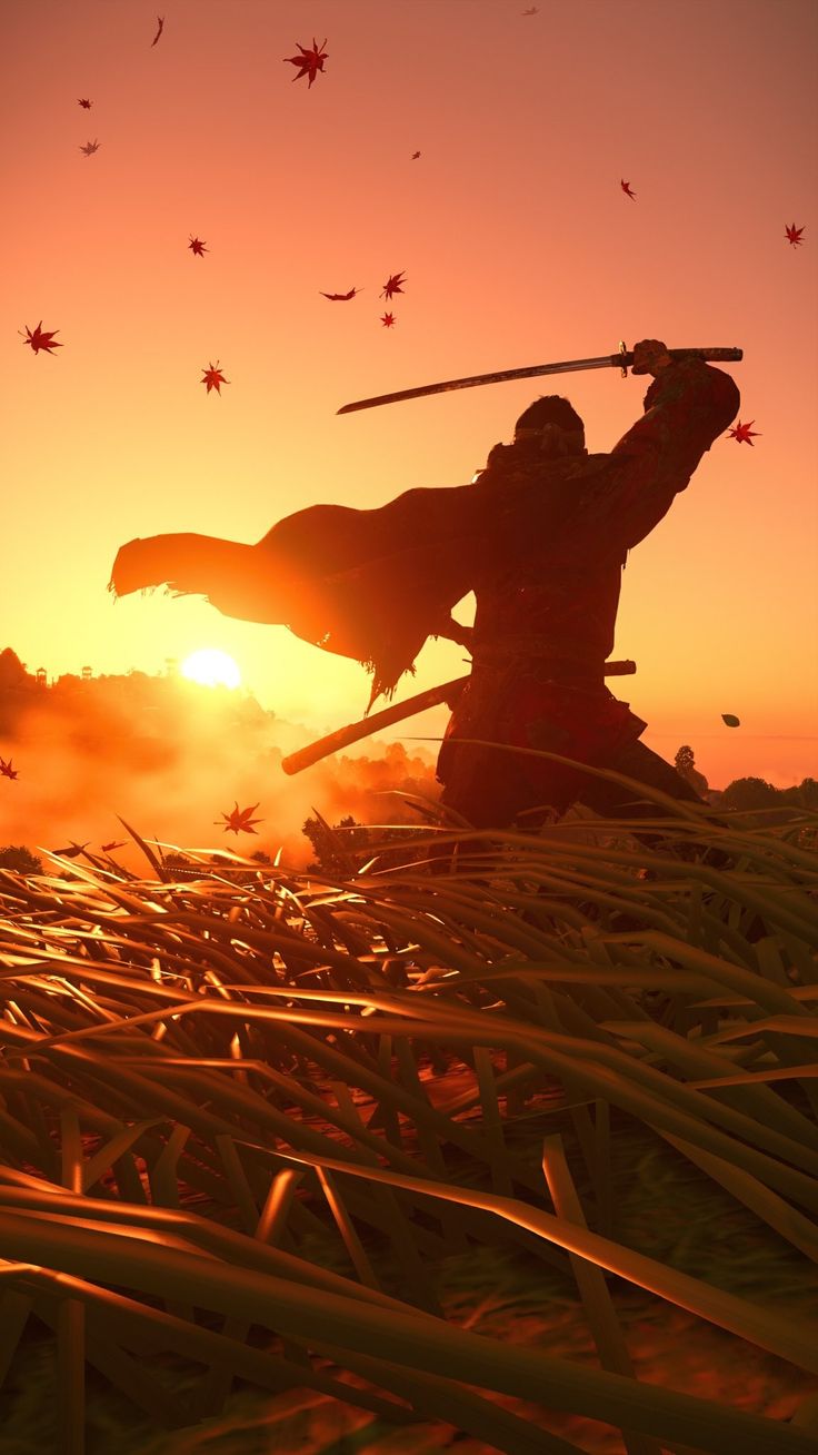 a man with two swords standing in the middle of a field at sun set,