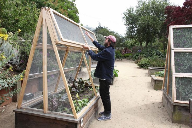 a man standing in front of a greenhouse filled with plants and looking into the window