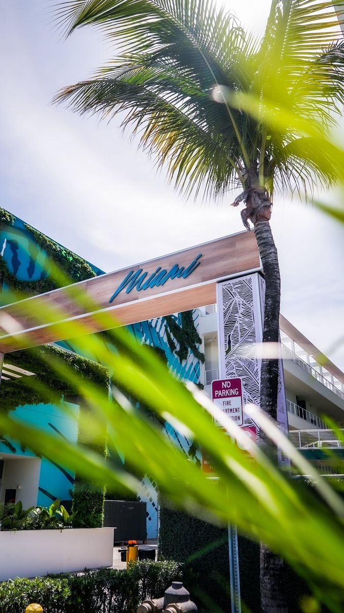 a palm tree is in front of a building with the word miami written on it