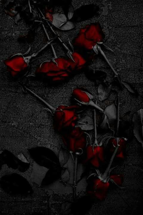 some red roses are laying on the ground