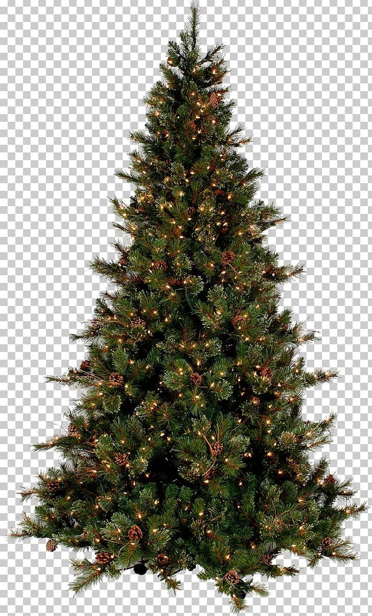 a christmas tree with lights on it, against a white background png - christmas tree transparent