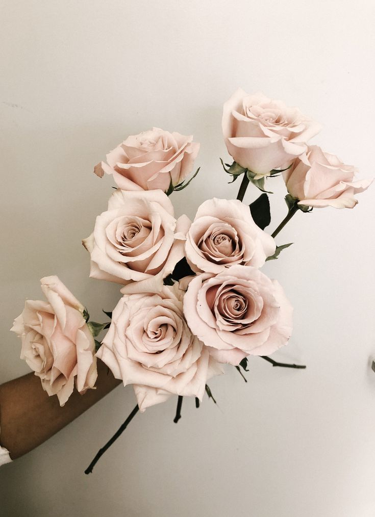 a person holding a bunch of pink roses in their hand with the stems still attached