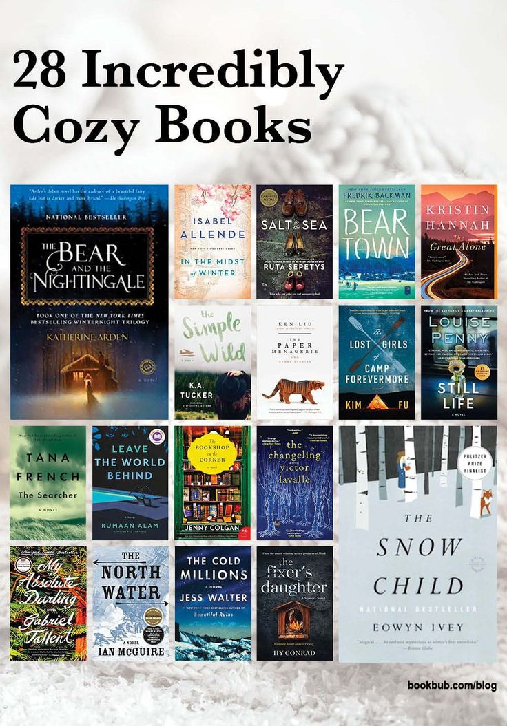 the book cover for 28 incredibly cozy books, with an image of snow and trees