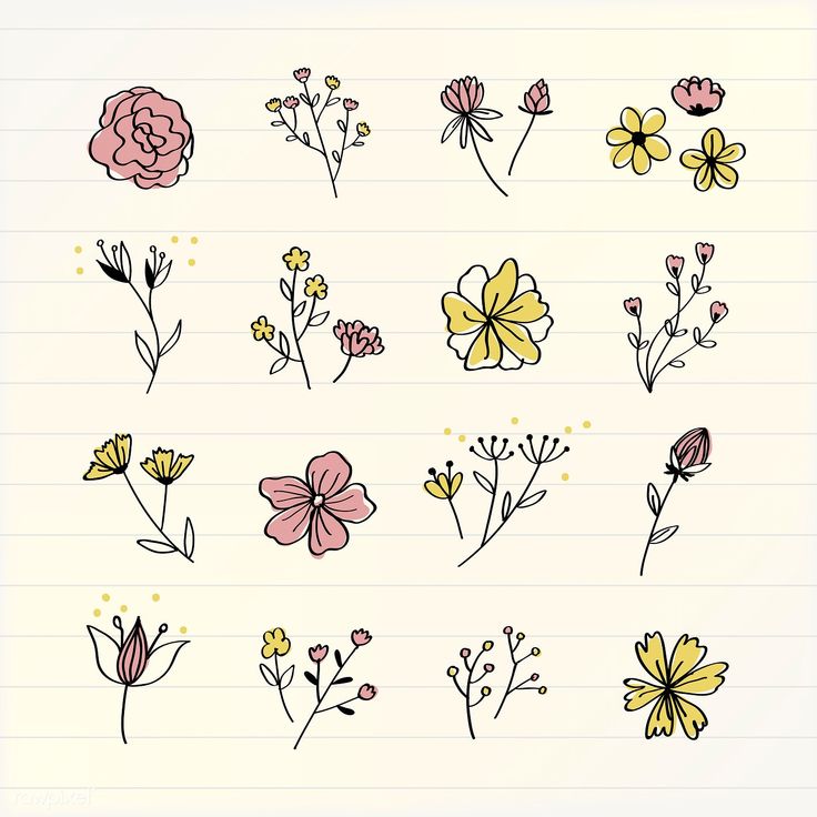 hand drawn flowers on lined paper