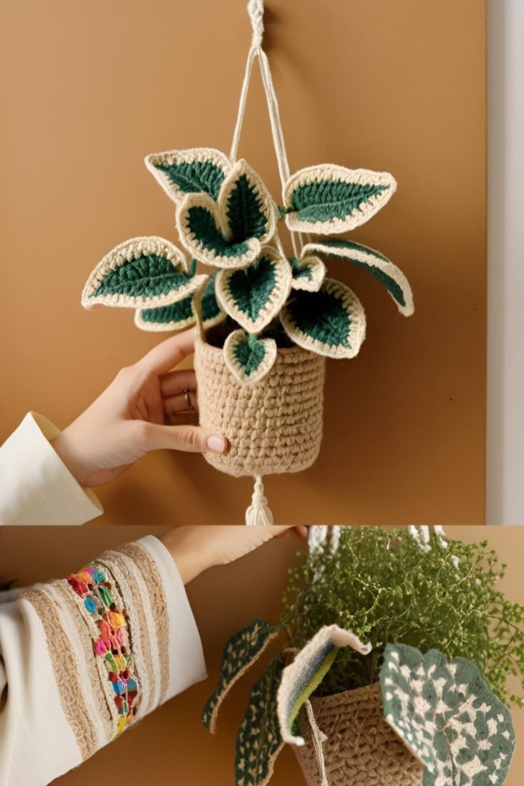 a person holding a potted plant hanging from a hook