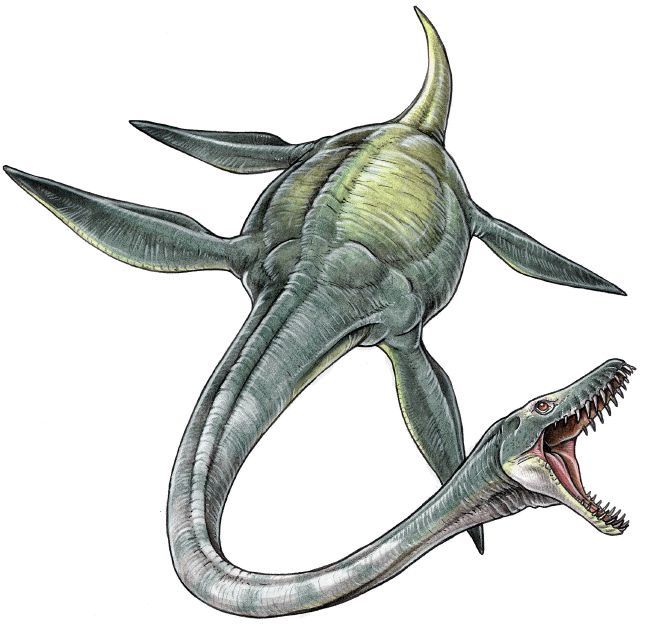 an artist's rendering of a dinosaur with its mouth open and it's teeth out