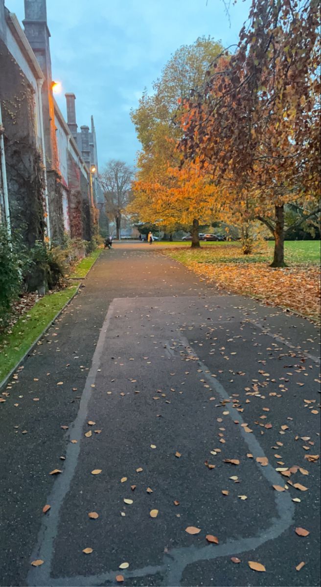 an empty street with leaves on the ground